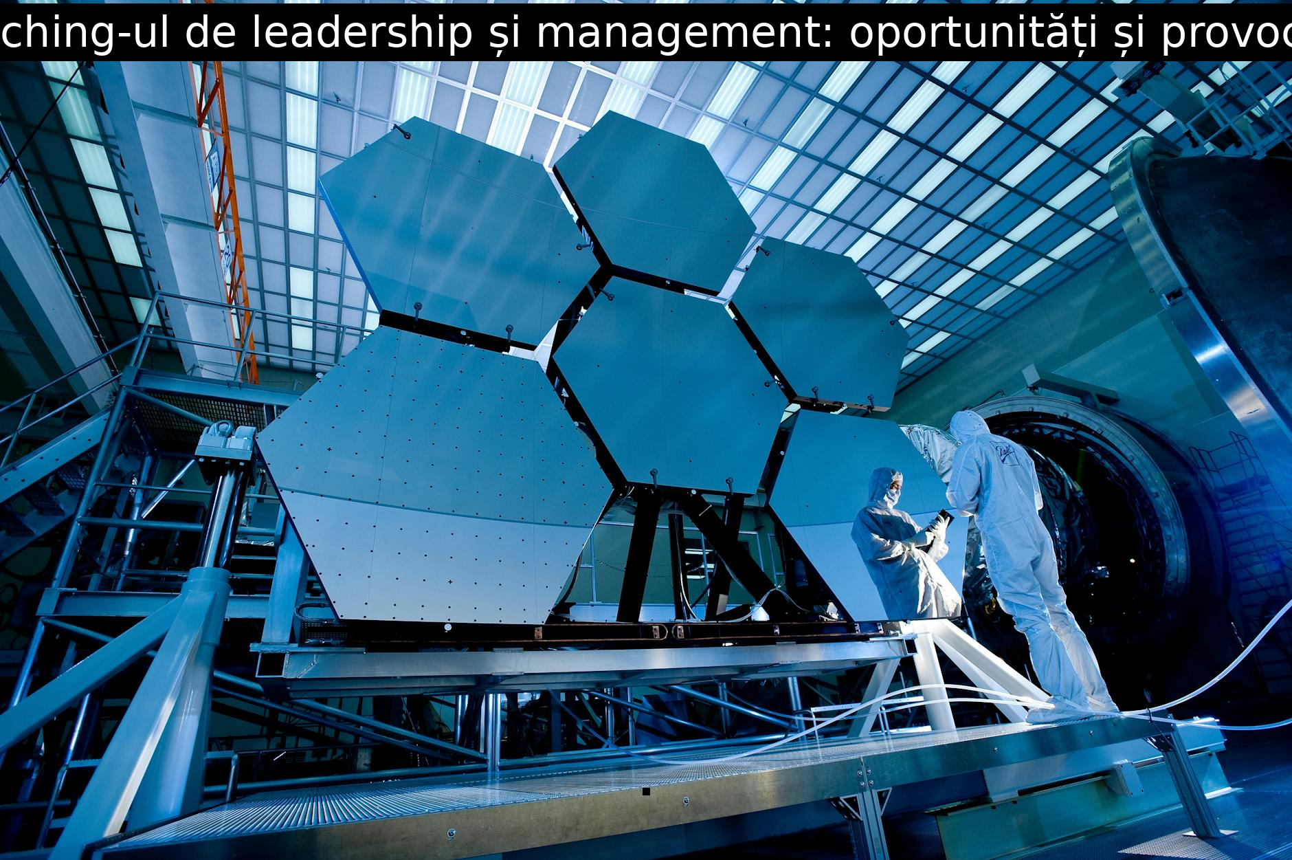 Coaching-ul de leadership și management: oportunități și provocări.